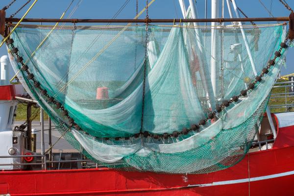 Beam trawl